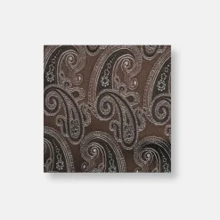 New Edition Fashion Davalos Paisley Pocket Square> Pocket Squares
