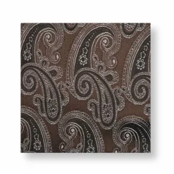 New Edition Fashion Davalos Paisley Pocket Square> Pocket Squares