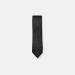 New Edition Fashion Davern Classic Paisley Tie> Ties