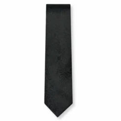 New Edition Fashion Davis Classic Paisley Tie> Ties