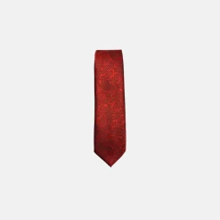 New Edition Fashion Davos Classic Paisley Tie> Ties