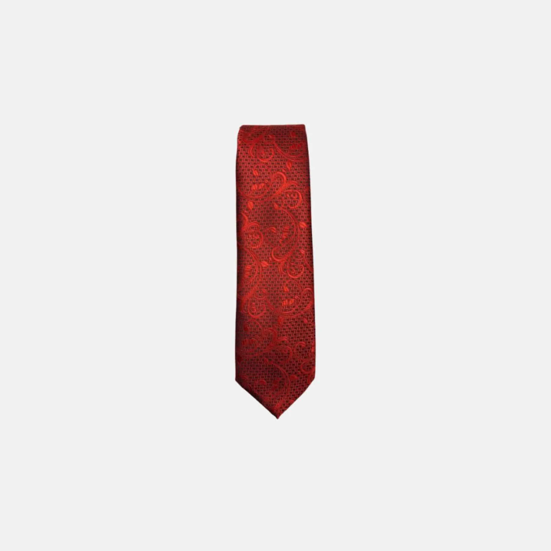 New Edition Fashion Davos Classic Paisley Tie> Ties