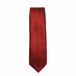 New Edition Fashion Davos Classic Paisley Tie> Ties