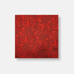 New Edition Fashion Davos Paisley Pocket Square> Pocket Squares