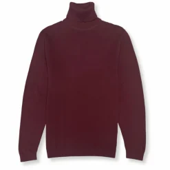 New Edition Fashion Donnie Turtleneck Sweater> Sweaters