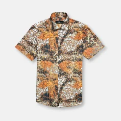New Edition Fashion Drummond Short Sleeve Button Down> Button Downs