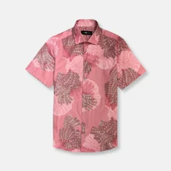 New Edition Fashion Dudley Short Sleeve Button Down> Button Downs