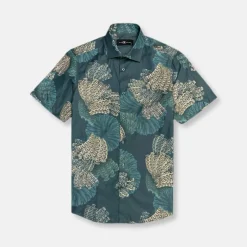 New Edition Fashion Dudley Short Sleeve Button Down> Button Downs