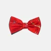 New Edition Fashion Everardo Floral Bow Tie> Bow Ties