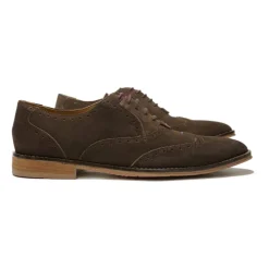 New Edition Fashion Harwell Suede Wingtip Oxfords> Casual Shoes