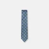 New Edition Fashion Ingo Checkered Skinny Tie> Ties