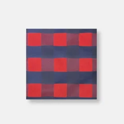 New Edition Fashion Innokenti Checkered Pocket Square> Pocket Squares