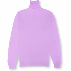New Edition Fashion London Solid Turtleneck> Sweaters