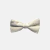 New Edition Fashion Stuart Paisley Bow Tie> Ties
