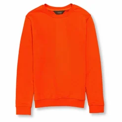 New Edition Fashion Vargas Solid Sweatshirt> Sweaters