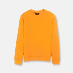New Edition Fashion Vargas Solid Sweatshirt> Sweaters