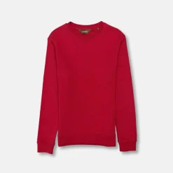 New Edition Fashion Vargas Solid Sweatshirt> Sweaters