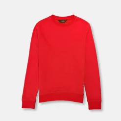New Edition Fashion Vargas Solid Sweatshirt> Sweaters
