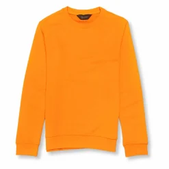 New Edition Fashion Vargas Solid Sweatshirt> Sweaters