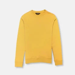 New Edition Fashion Vargas Solid Sweatshirt> Sweaters